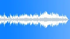 Magic Of Christmas Stock Music