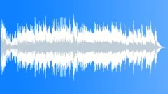 Magic Christmas Stock Music
