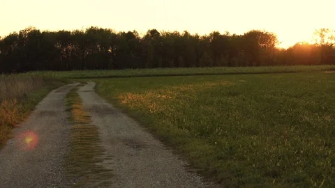 Magic Country Road on Sunset Stock Footage 116480277