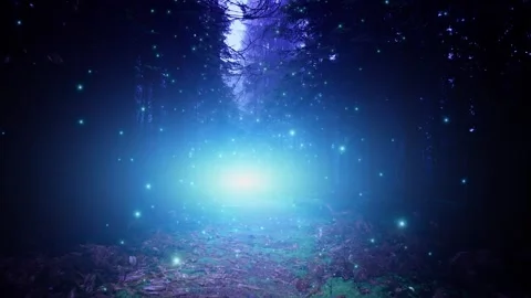 Magic dark blue fairy tale wood with flickering firefly animation Stock Footage 337248994