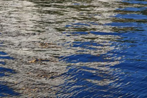 Magic drawings on the water Stock Photos