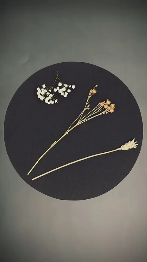 Magic of dried flowers stop motion Stock Footage 296536033