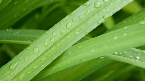 Magic Drops 스톡 사진