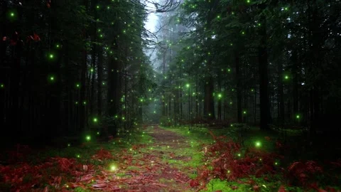 Magic fairy tale forest path with flickering firfly animation Stock Footage 337246491