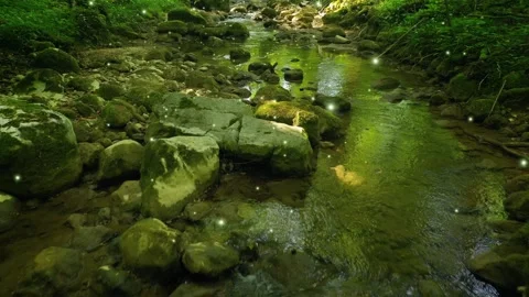 Magic fairy tale forest river with firefly animation Stock Footage 341152716