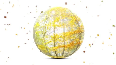 Magic fall season falling leaves with globe woods 動画素材 229615671