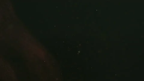 The magic falling of dust particles. slow motion Stock Footage 159626144