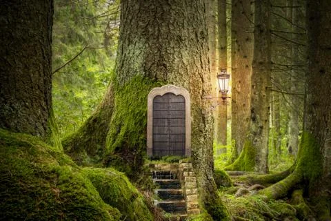 Magic fantasy world Stock Photos