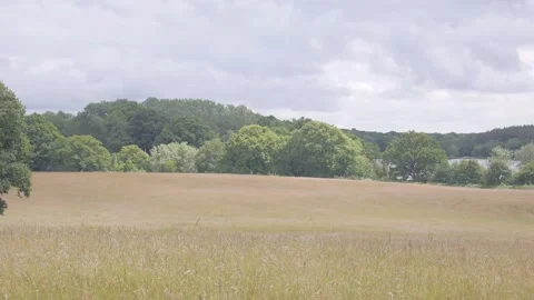 Magic field Vídeos de archivo 132749160