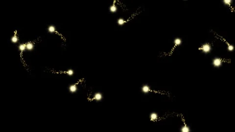 Magic fireflies Animation isolated on black background stock footage Stock Footage 302902286