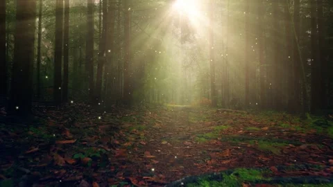Magic fireflies flying inside sunny forest Stock Footage 334806411