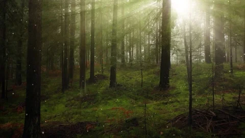 Magic firefly glitter dots in sunny woods landscape Video stock 334805371
