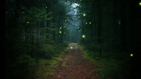 Magic flickering fireflies in the dark forest Stock-Footage 323957489