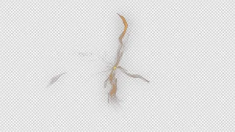 Magic Flow 動画素材 293189812