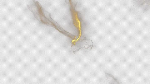 Magic Flow Vídeo Stock 293191448