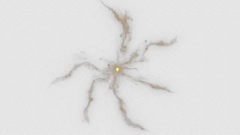 Magic Flow Vidéo 293191473