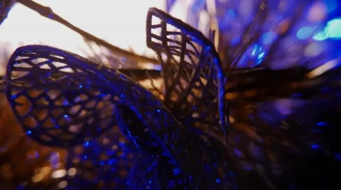 Magic  flower Video stock 57677515