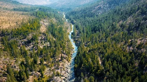 Magic Forest and river flows trough mountains in beautiful scene 4K Stock Footage 87098097