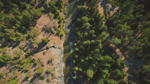 Magic Forest and river flows trough mountains in beautiful scene 4K Stock Footage 171285231