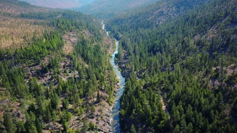 Magic Forest and river flows trough mountains in beautiful scene 4K Stock Footage 171285240