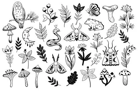 Magic forest doodle elements. Cute moths, animals, mushrooms and plants. Bi.. 스톡 일러스트