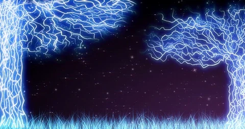 Magic Forest Video stock 105724502