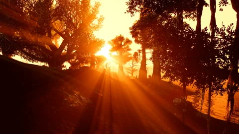 Magic Forest Stock Footage 142355331