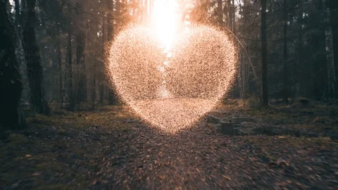 Magic forest heart. Concept of love of nature, woods, hiking Stock-Footage 128789897