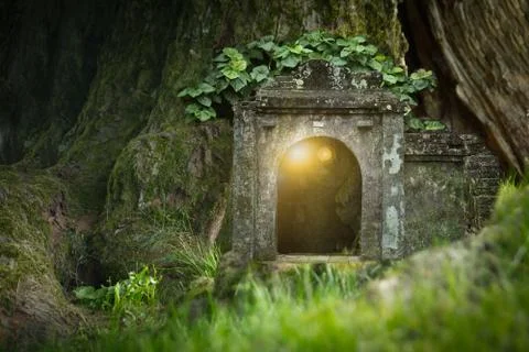 Magic forest house Stock Photos