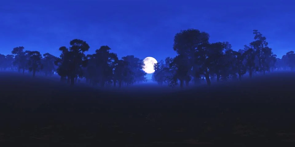 Magic Forest at Night under Fullmoon VR360 Illustrazione stock