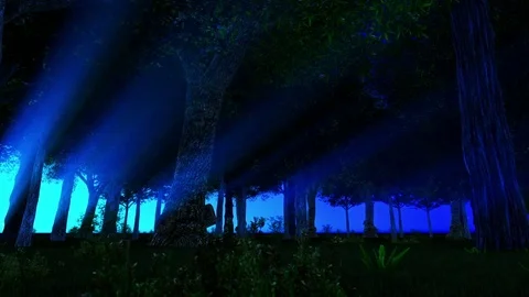 Magic Forest at night,light coming through Video stock 77266116