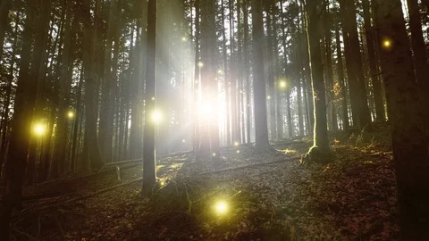 Magic Forest with sun rays and fireflies 動画素材 122347881