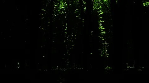 Magic game of light and shadow. Backlight from the drone. 1000w LED. 90.000 스톡 동영상 89291248