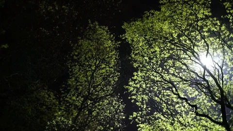 Magic game of light and shadow. Backlight from the drone. 1000w LED. 90.000 스톡 동영상 89291421