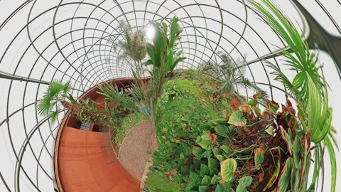 Magic garden generated using GPU graphics Stock-Footage 265296374