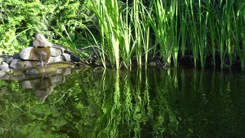 Magic garden pond with waterfall among stones. Plants are reflected in water. Stock Footage 135233117
