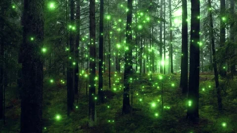 Magic glow firefly fly in green beautiful woods landscape Stock Footage 337239869
