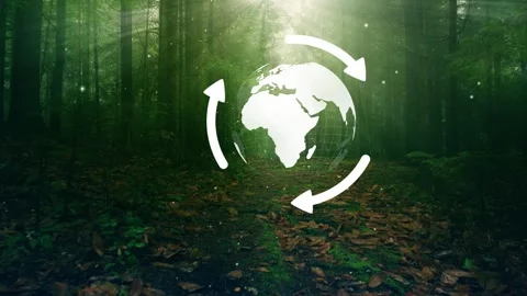 Magic green forest with ecology earth globe animation Stock Footage 339712601