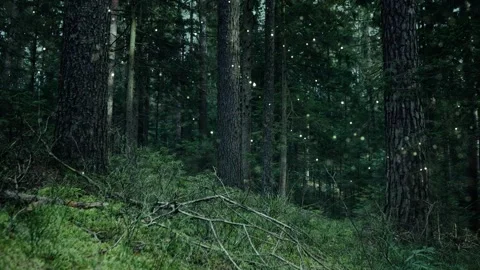 Magic green forest with flying flickering fierflies Stock Footage 344138483