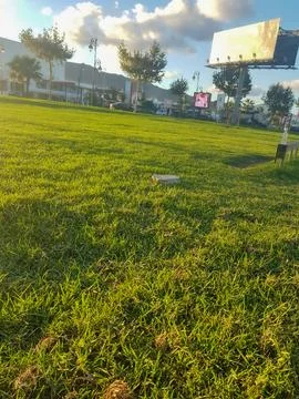 Magic of green grass exploring Its environmental benefits Stock Photos