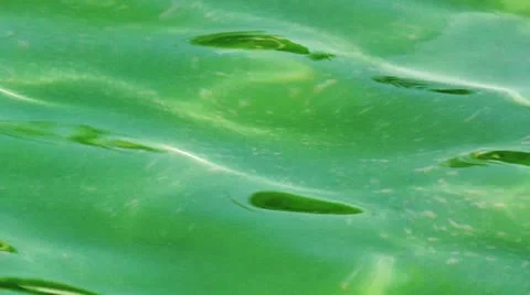 Magic green water surface Stock Footage 21906264