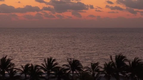 Magic hour ocean sunset beach with palm trees Stock Footage 309171800