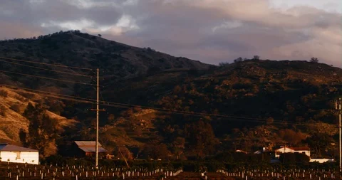Magic hour Orange Grove and Power Line Video stock 87955718