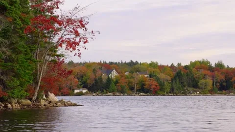 Magic Hour Over Autumn Homes Beechville Halifax Nova Scotia Canada Stock Footage 319954826