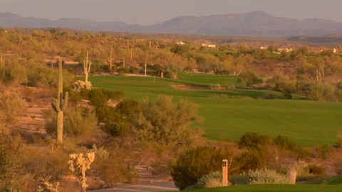 Magic hour over desert cactus cacti New Mexico  Stock Footage 125277912