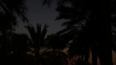 Magic hours Dubai sunset Stock Footage 140605665