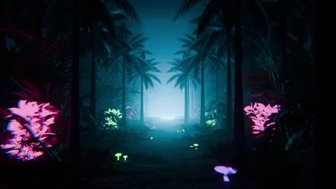 Magic Jungle Stock Footage 341479993