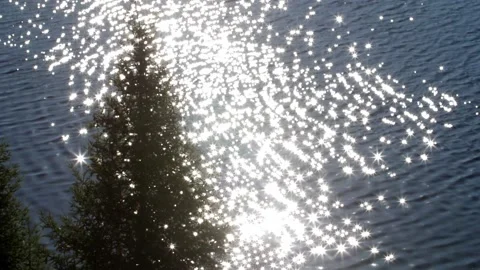 Magic lake. Slow motion sparkles shine through conifer. Ontario, Canada. Stock Footage 214526578