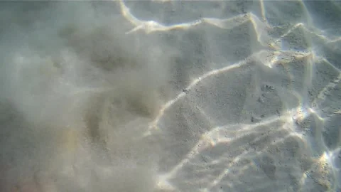 Magic Lamp Made of Gold Discovered Underwater in the Sand Stock Footage 145936308