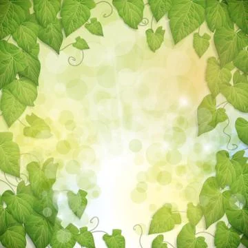 Magic leaves background Stock Illustration